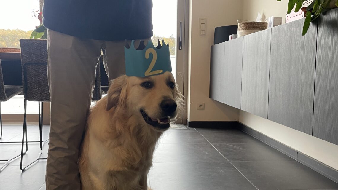 Otis’ verjaardag