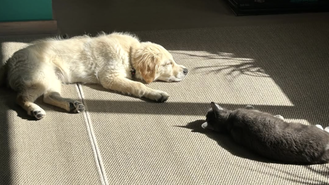 Otis & Tommy